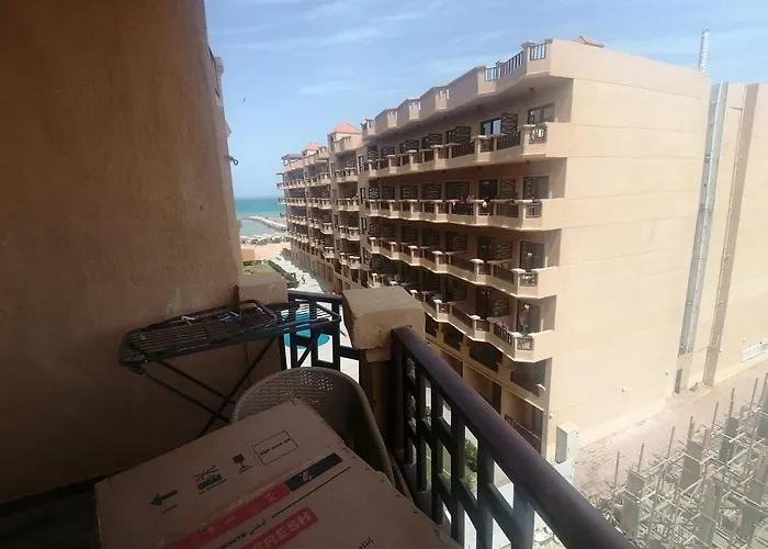 Resort Turtles
